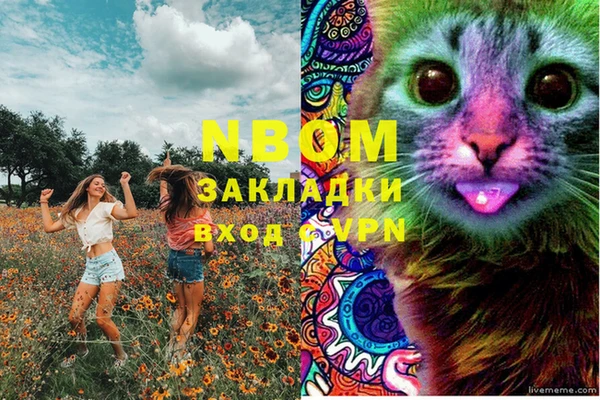 стаф Абаза