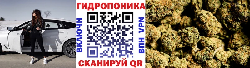 Бошки Шишки THC 21% где купить наркоту Харабали